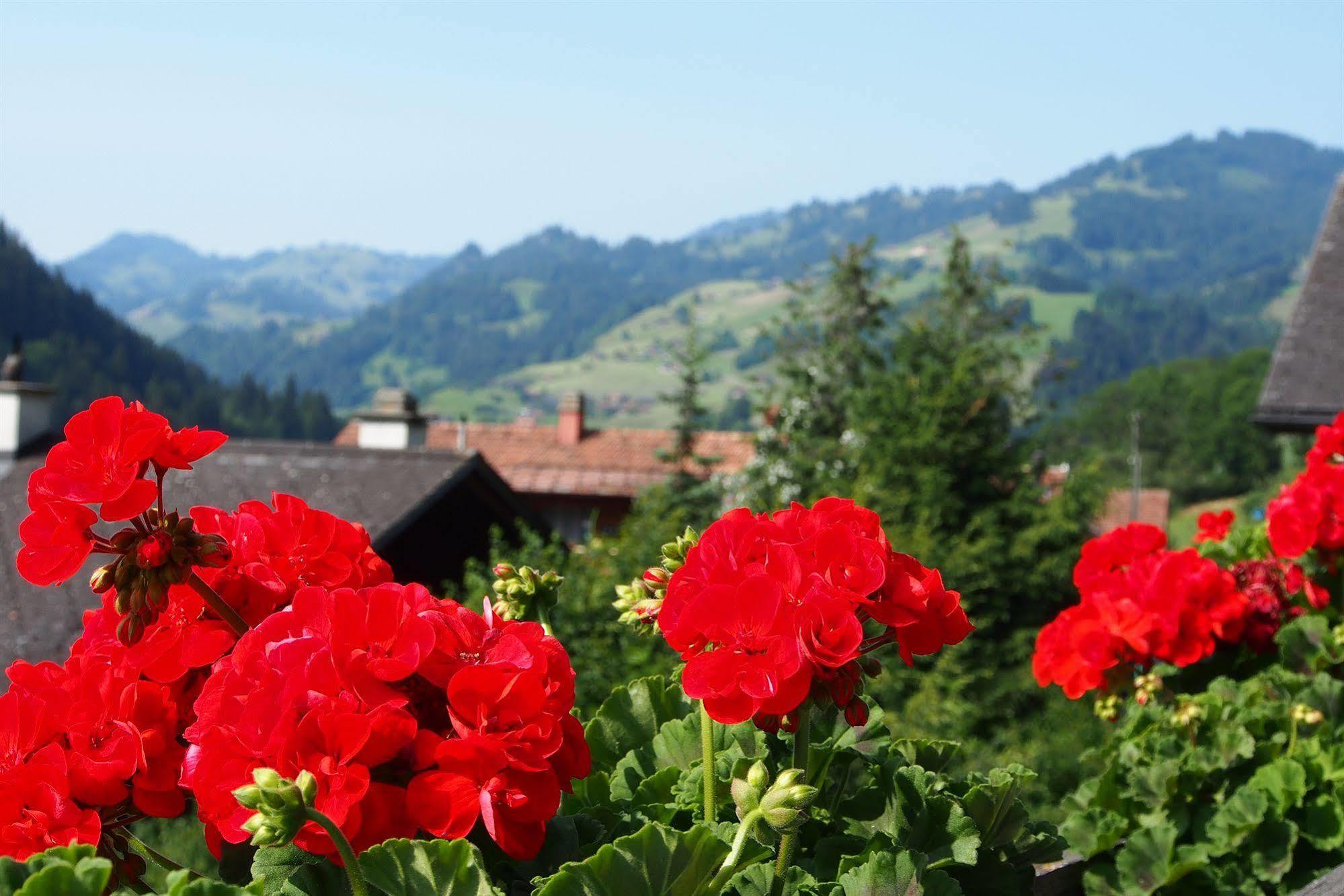 Hotel Simmental Boltigen Exterior photo